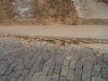 dsc00134